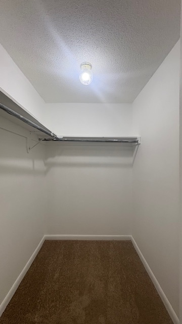 Apartment Picture