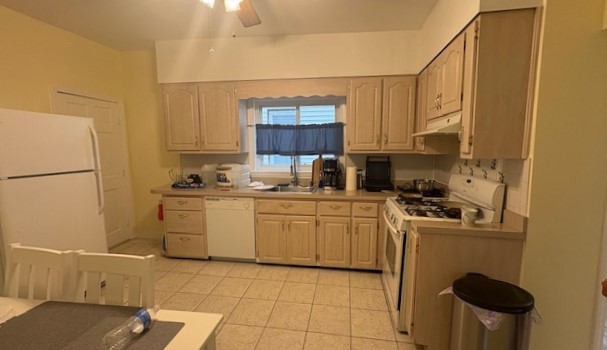 Apartment Picture